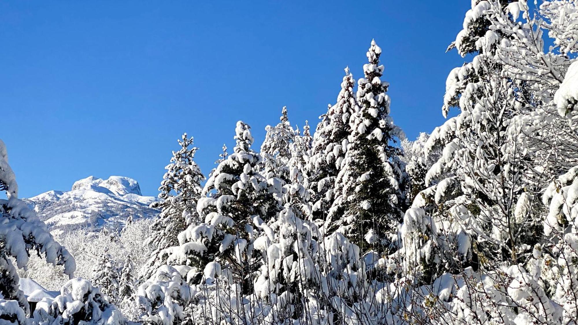 L'Intermede & En Toute Amitie - Les Gites De L'Argile Faucon-de-Barcelonnette Экстерьер фото
